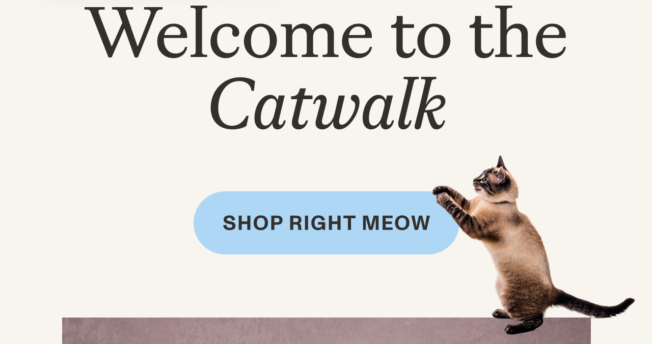 Shop Right Meow