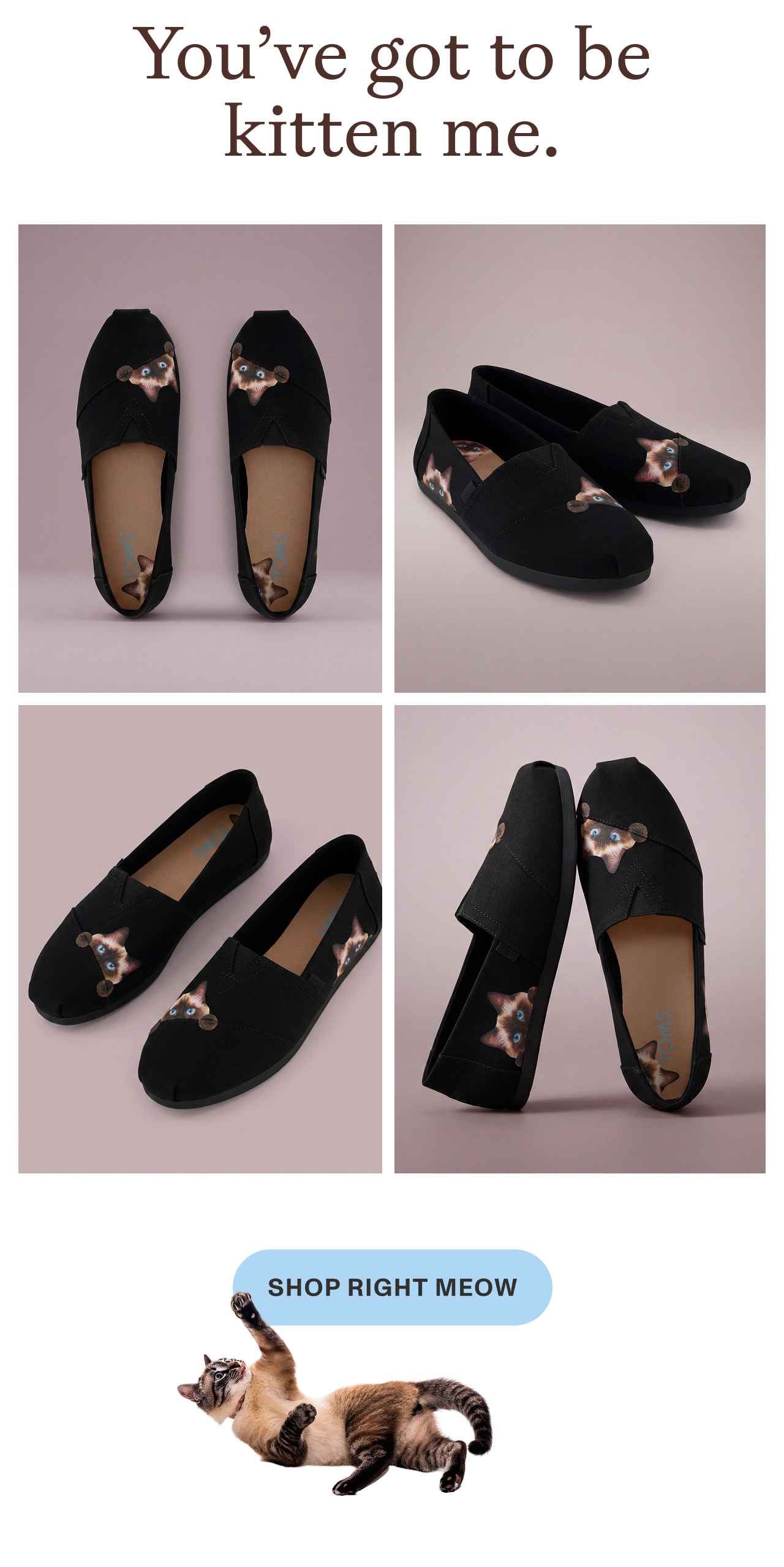 Shop Right Meow