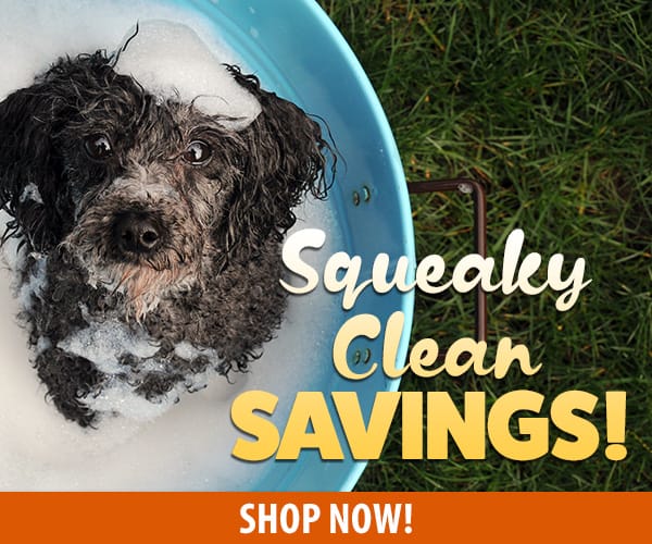Squeaky Clean Savings!