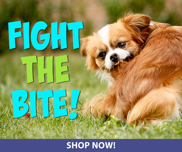 Fight the Bite!