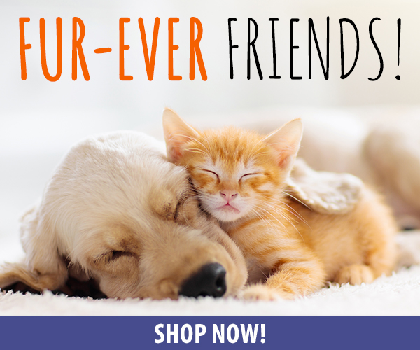 Fur-ever Friends!