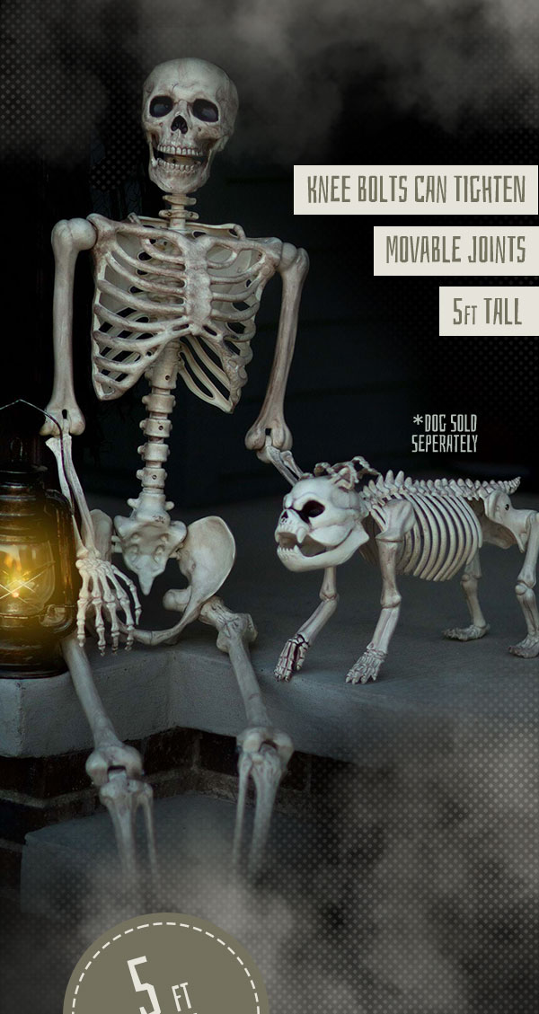 5FT Realistic Poseable Skeleton Halloween Prop