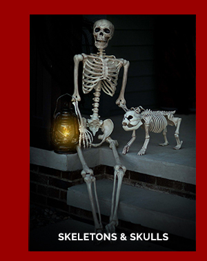 Skeletons & Skulls