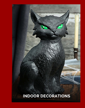 Indoor Decor