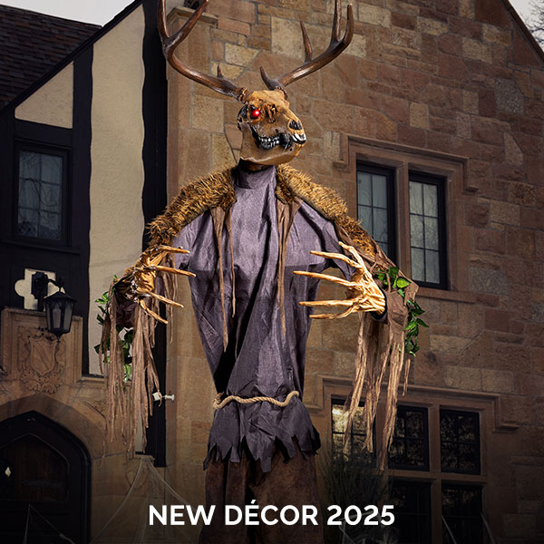New Decor 2025