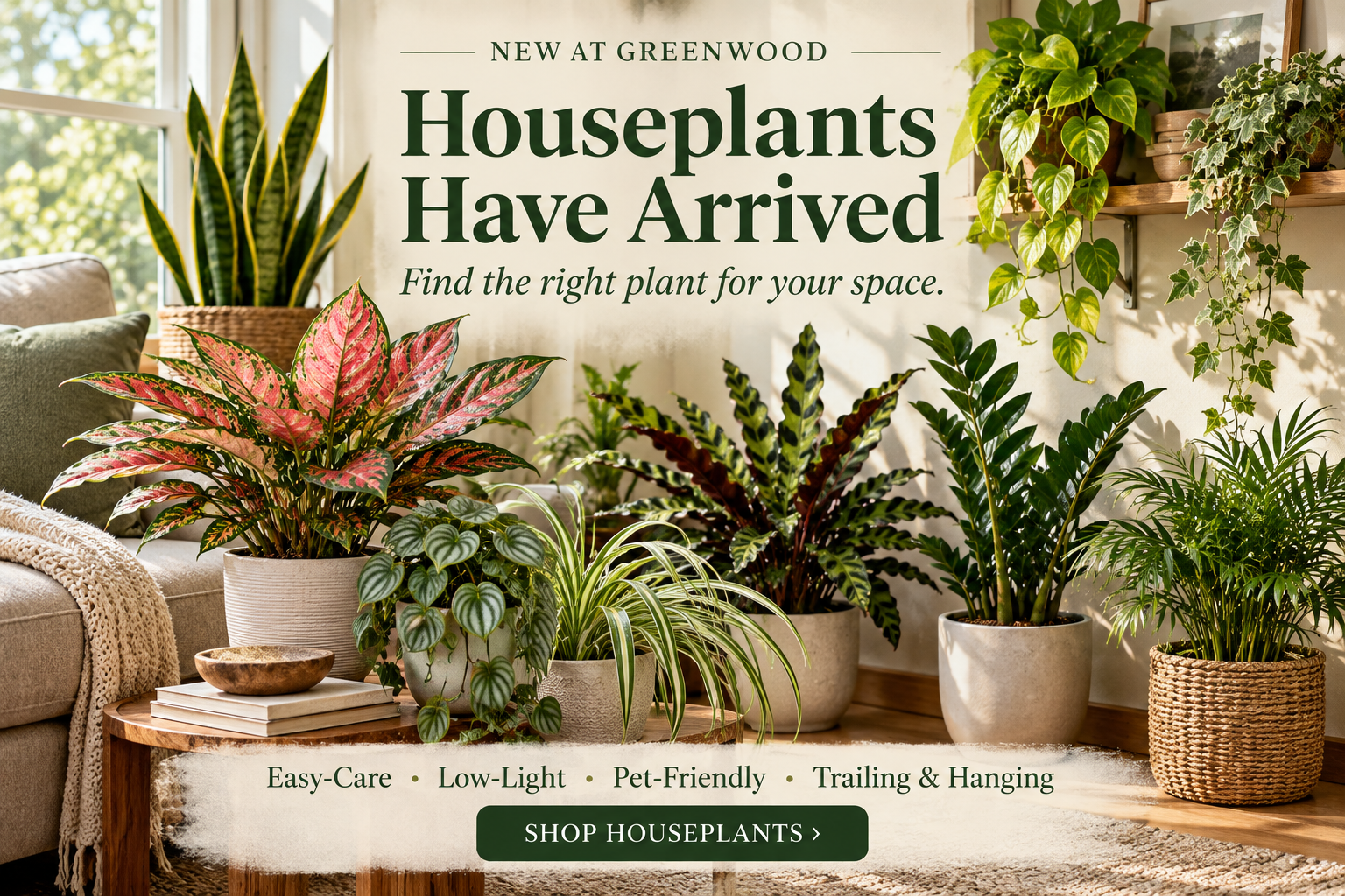 Shop Our New Houseplants!