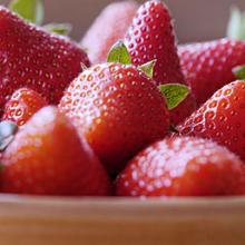 Shop Strawberry Plants for Fall Planting