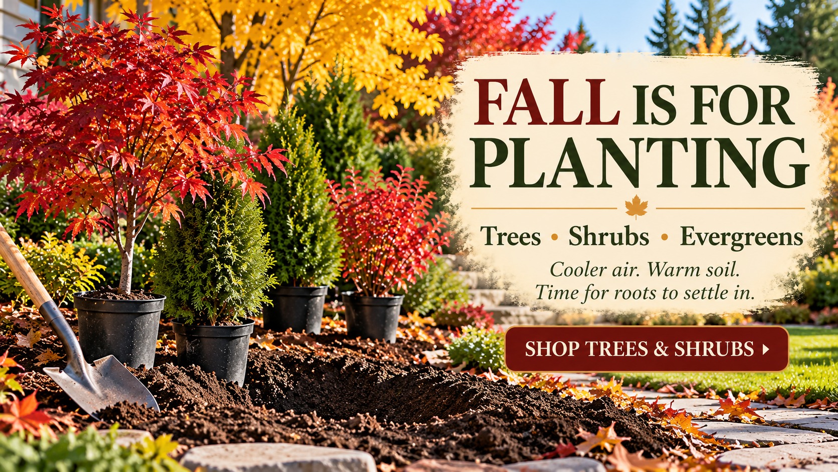 Fall Color Plants