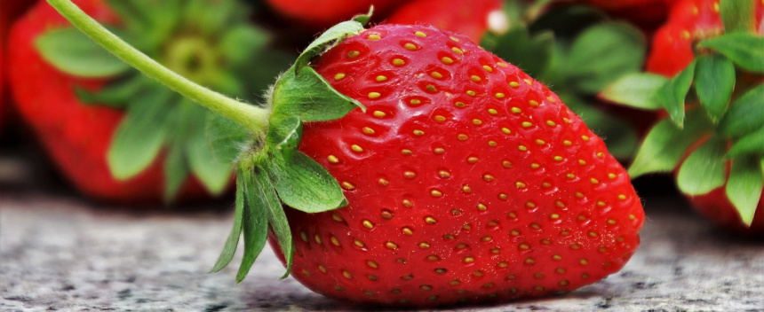 strawberry plants