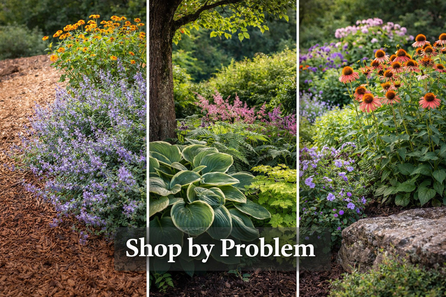 Shop by Gardening Problems