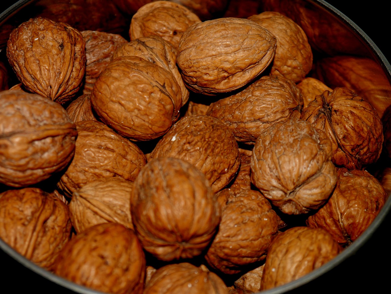 Order GSP Purdue Black Walnut Seedlings