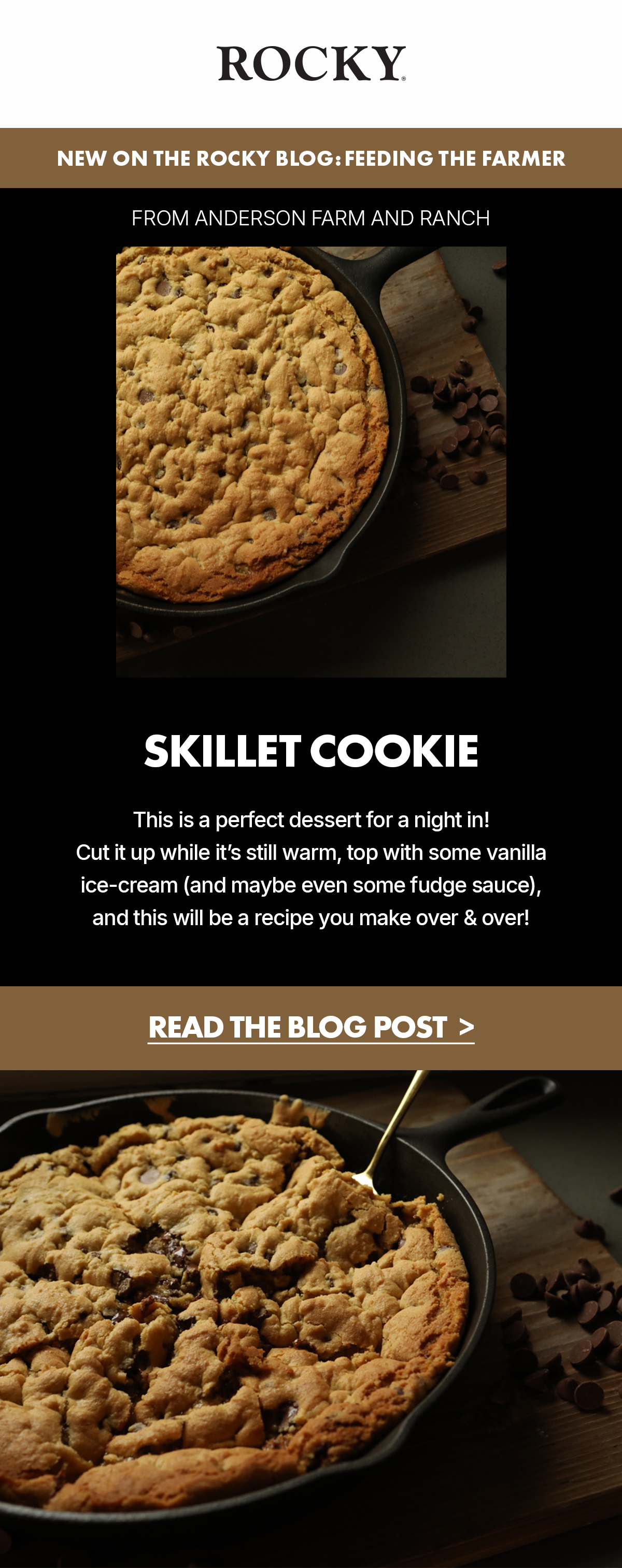 new on the rocky blog | feeding the farmer | from anderson farm and ranch | skillet cookie | this is a perfect dessert for a night in! | read the blog post!