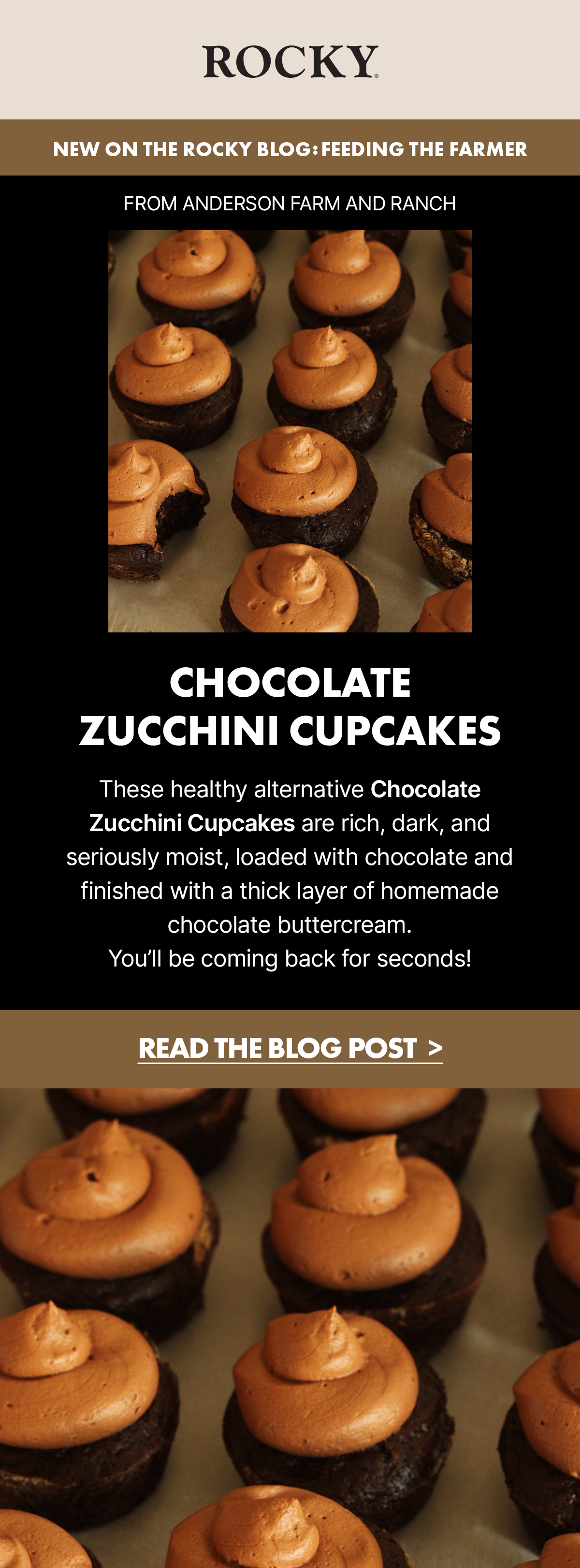 new on the rocky blog! feeding the farmer chocolate zucchini cupcakes | read the post now