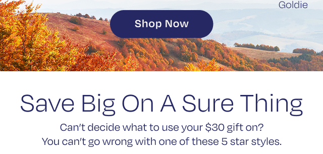 Shop Now Button - Image