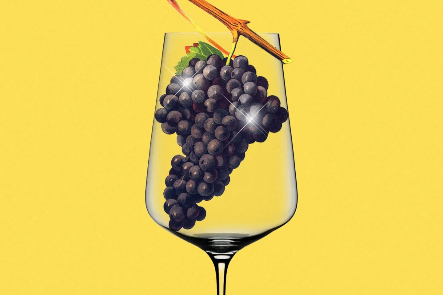 Tannat Deserves a Spot on Your Table