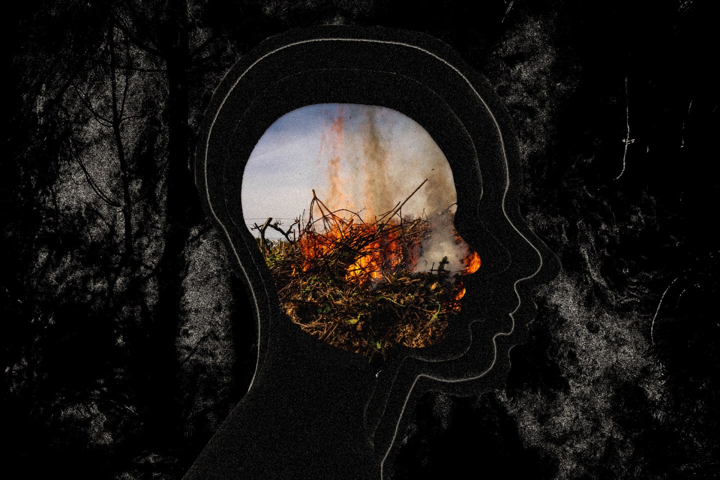 Another Climate-Related Disaster? Winemaker Mental Health