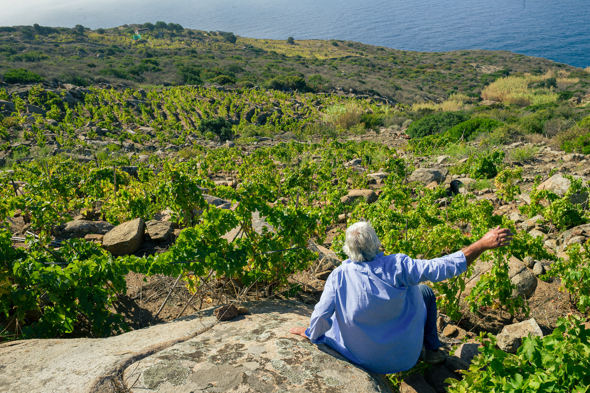 How One Man’s Obsession Revived Winemaking on a Tiny Italian Island