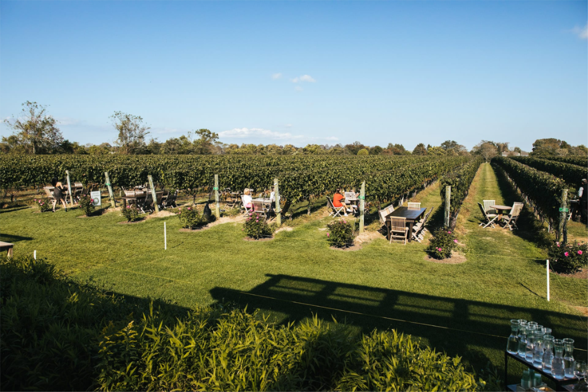 The Best Long Island Wineries to Visit Right Now