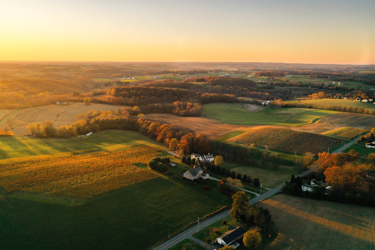 The Best Pennsylvania Wineries to Visit Right Now