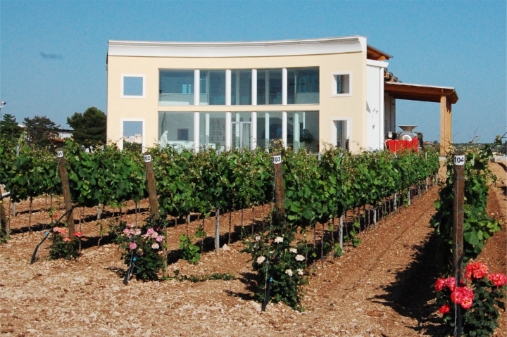 Antica Masseria Jorche