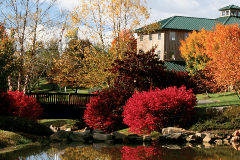 Shelton Vineyards