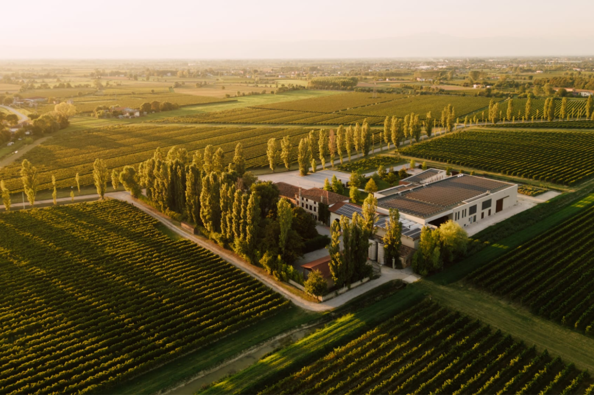 Inside the Quiet Luxury of Lison Classico