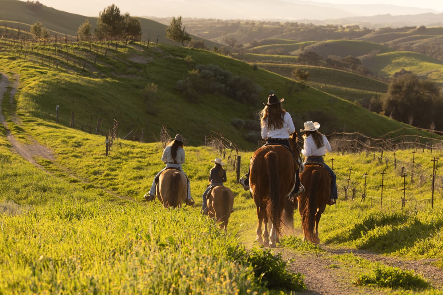Wine country is kid-friendly