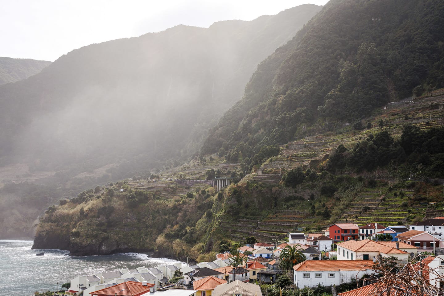 Madeira Is the Jurassic Park of Wine