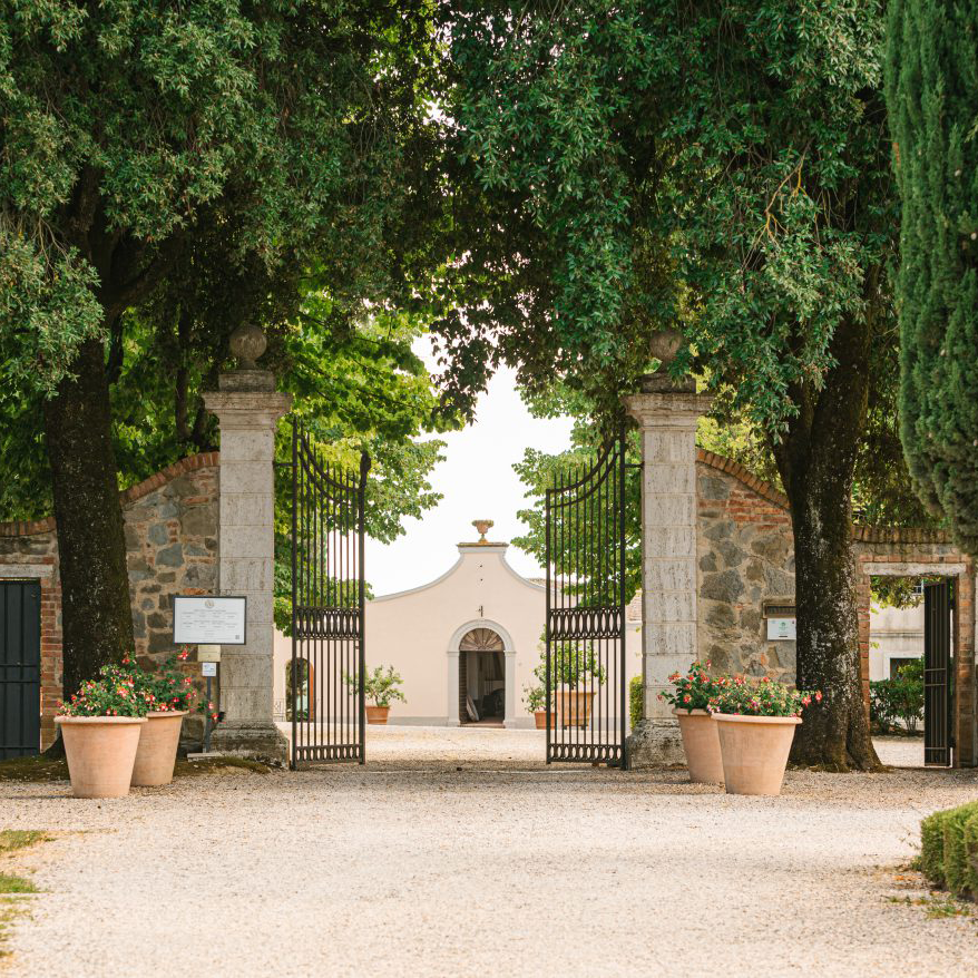 Avignonesi