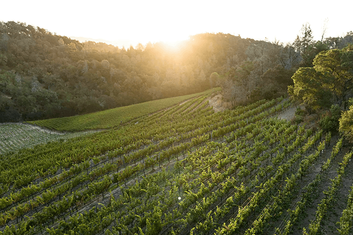 Fantesca Estate & Winery