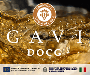 Consorzio Gavi