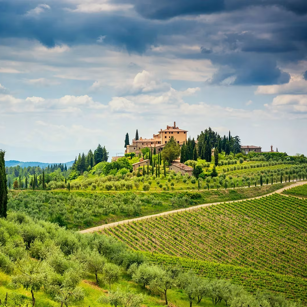 Querciabella