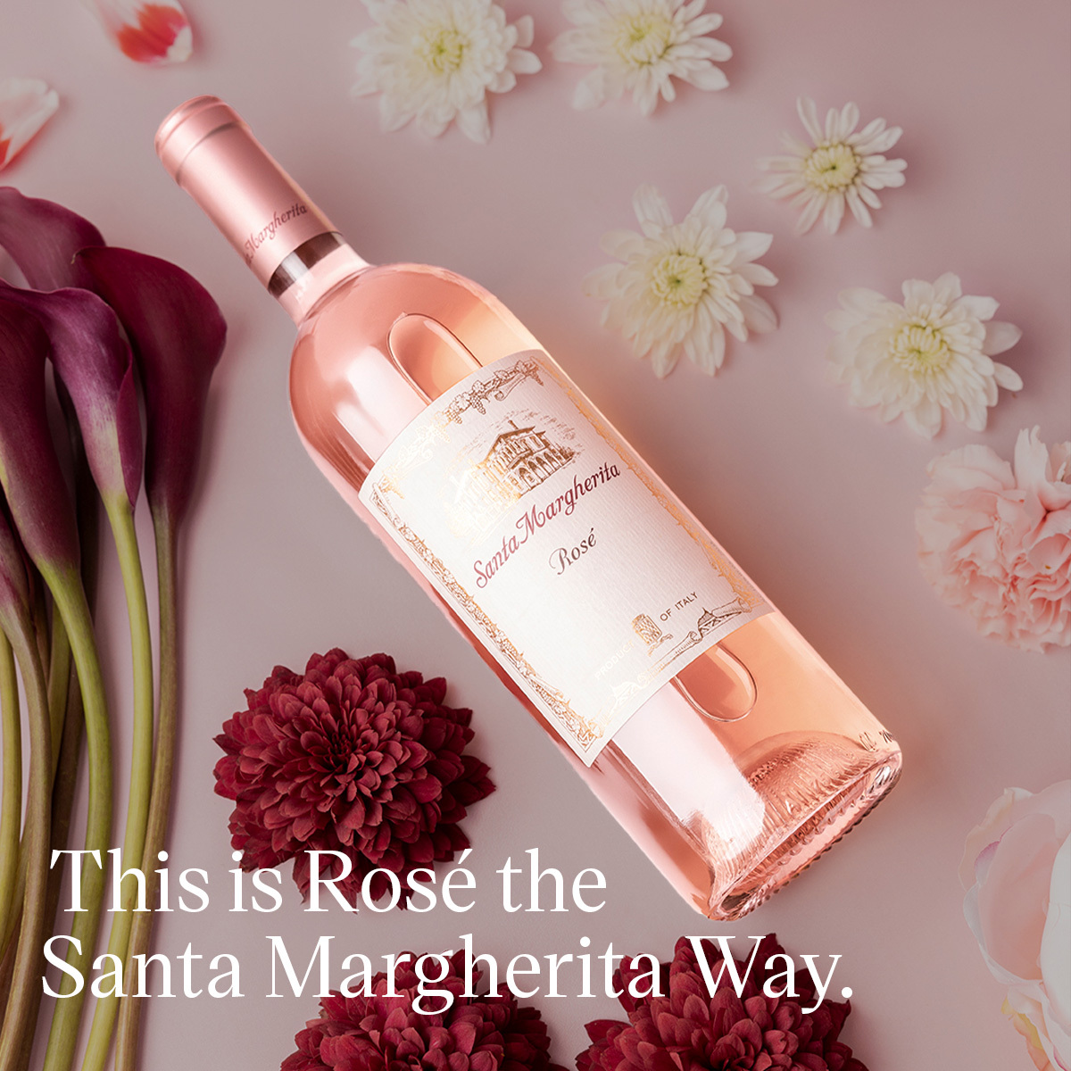 Santa Margherita Rosé Santa Margherita Rosé