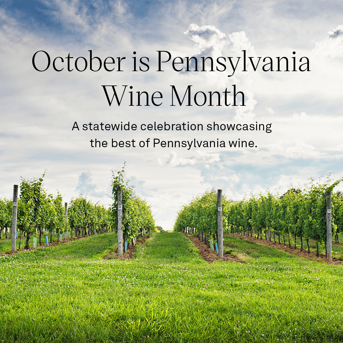 Pennsylvania Winery Association