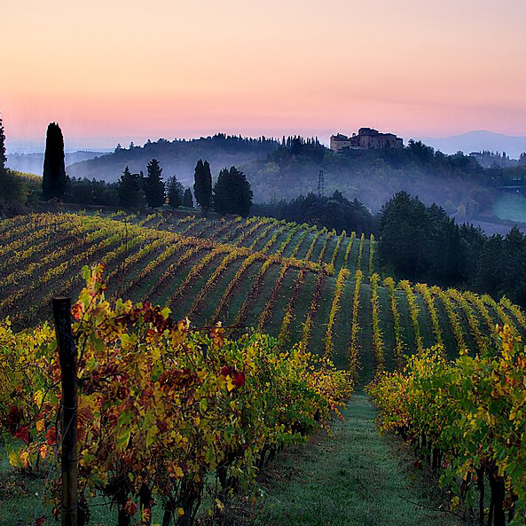 Tenuta Buon Tempo