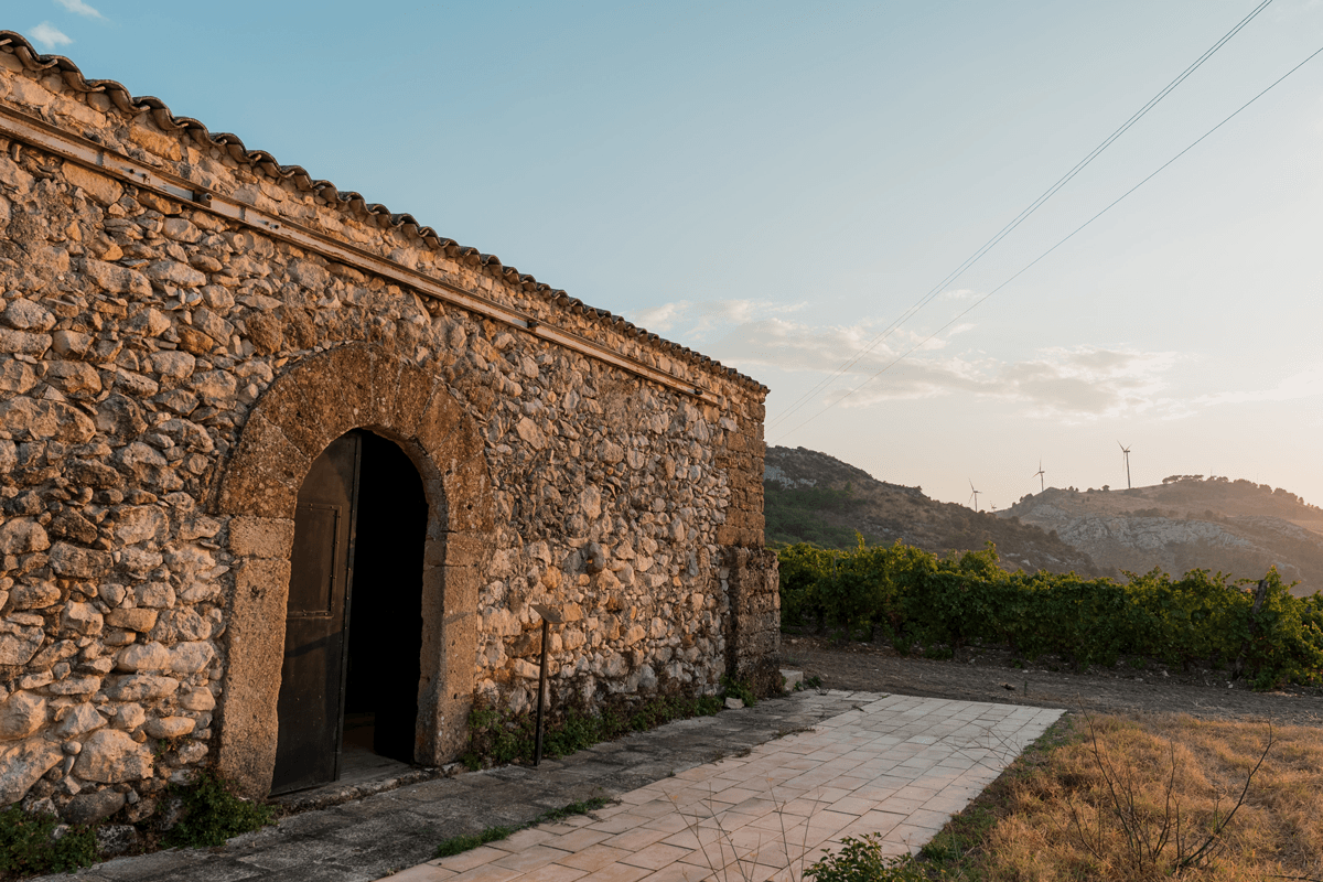 Cantine Planeta Ulmo