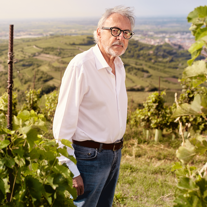 Anselmi