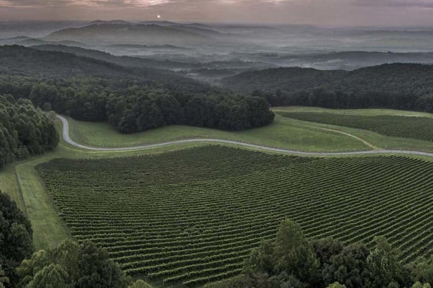 Dynamis Estate Wines