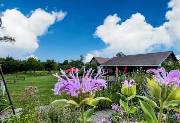 Applewood Winery