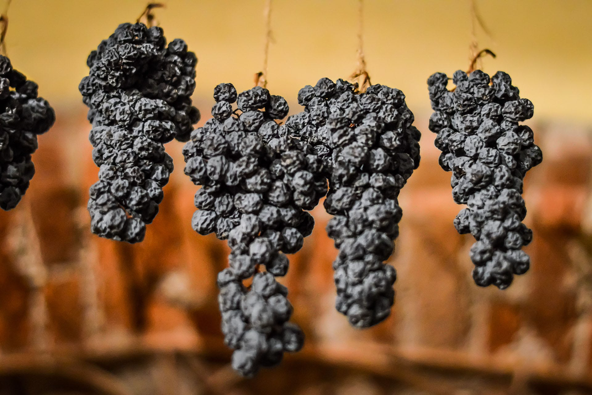 What Does 'Appassimento' Mean in Wine? What Does 'Appassimento' Mean in Wine?