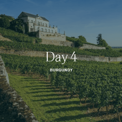 Links to Clos du Vougeot