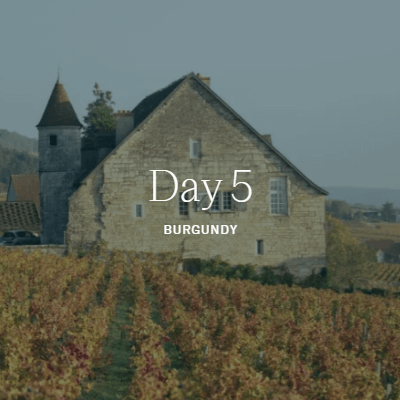 Chablis Elegance