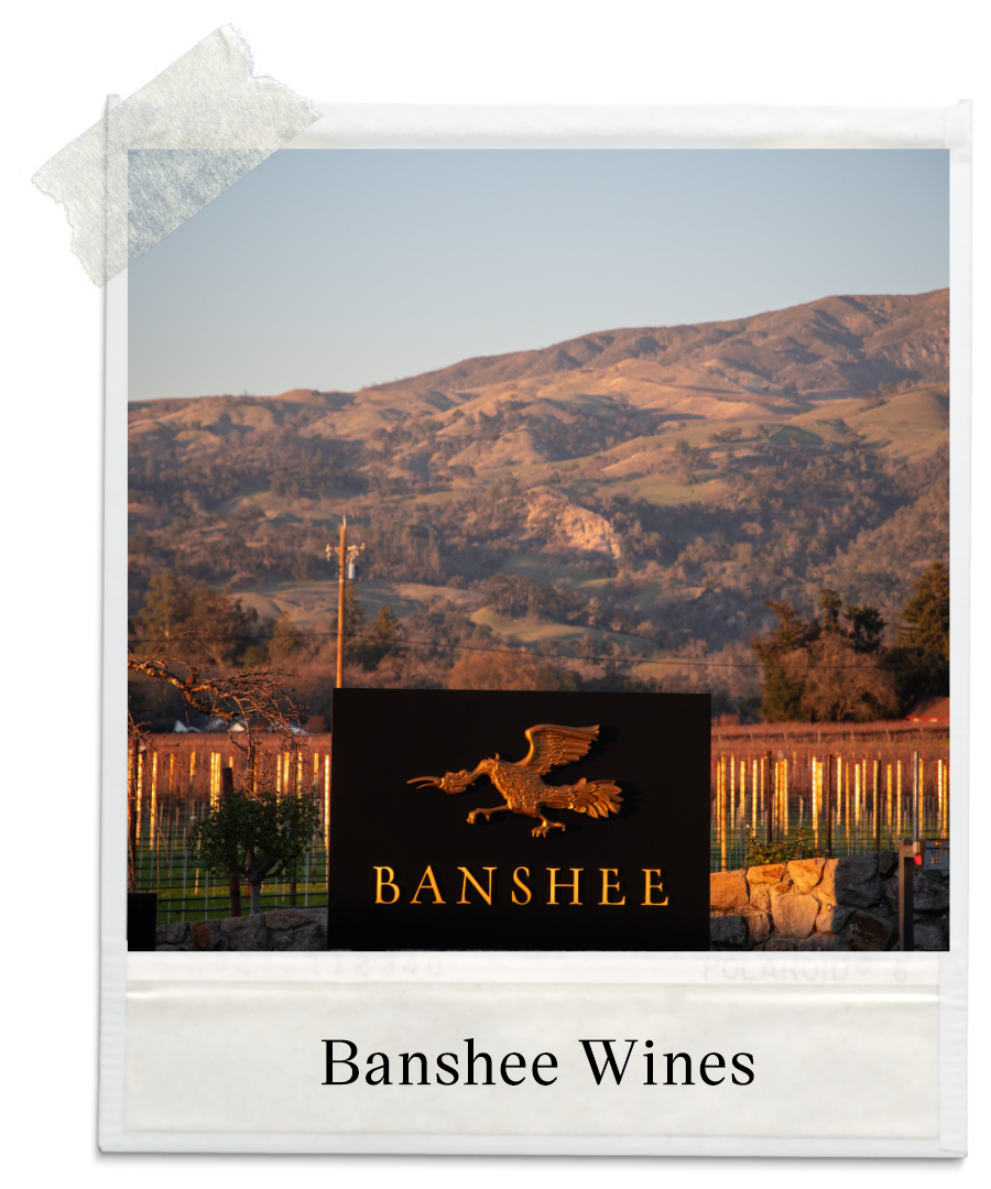 Banshee Wines