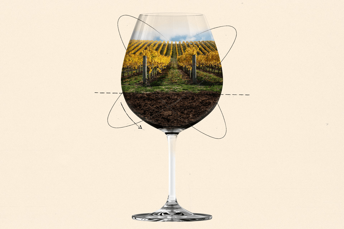 Can Organic and Biodynamic Farming Actually Improve Yields?