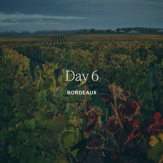 Bordeaux Day 6