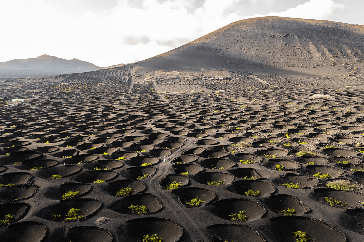 Will the Canary Islands’ Wines Ever Get the Audience They Deserve?
