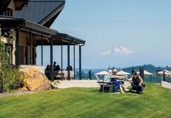 Mattebella Vineyards