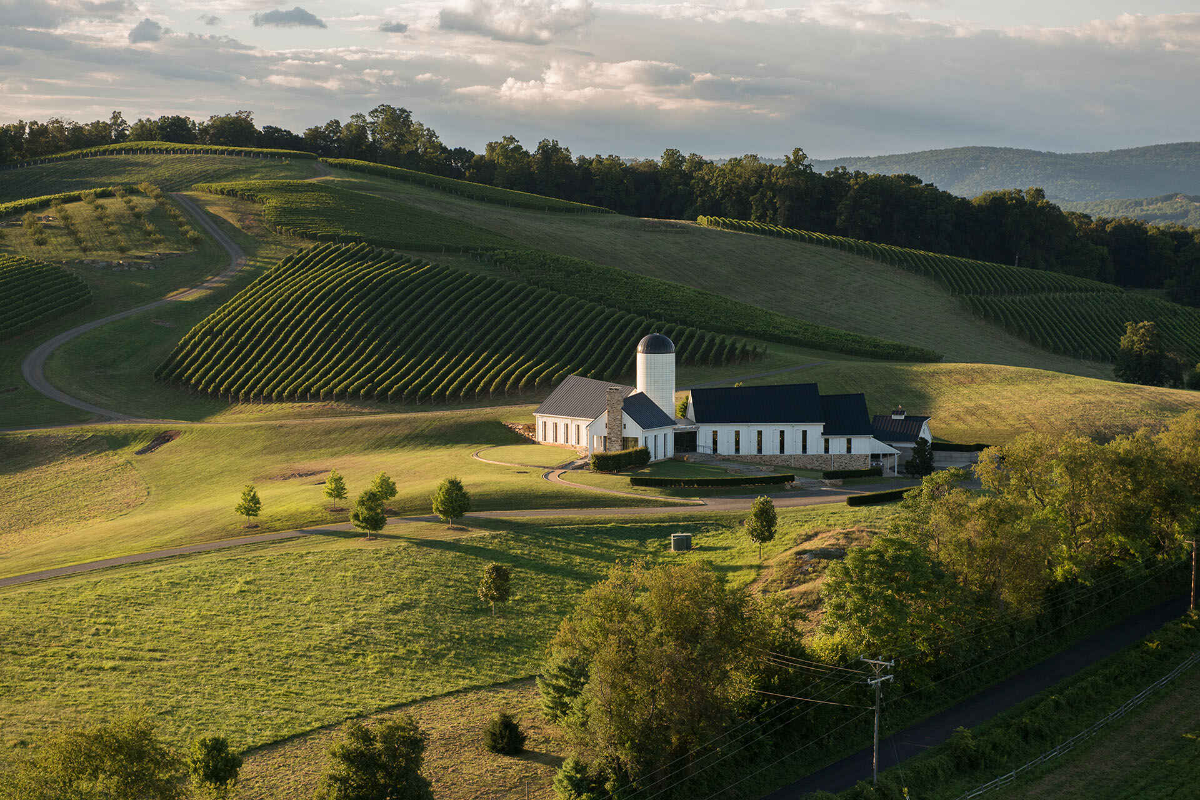 The Best Virginia Wineries to Visit Right Now