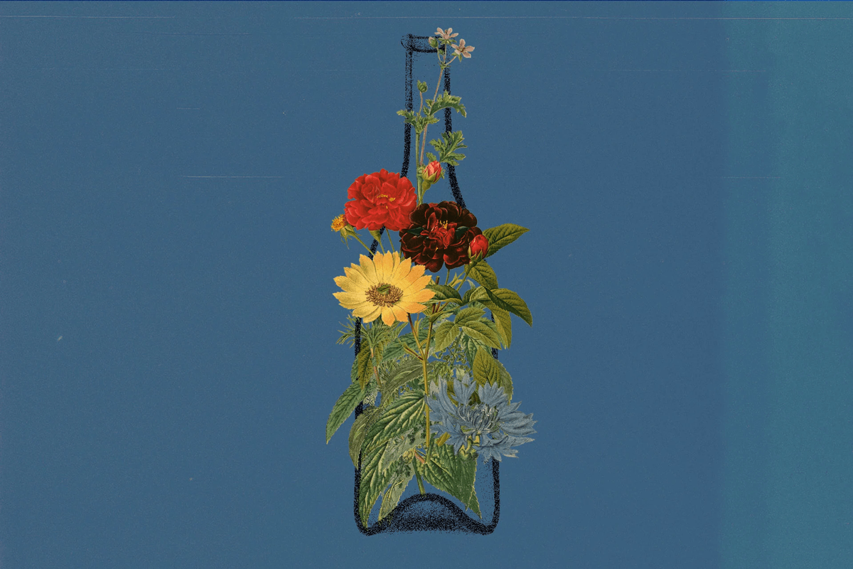 How Can Wine Be ‘Floral’? We Explain