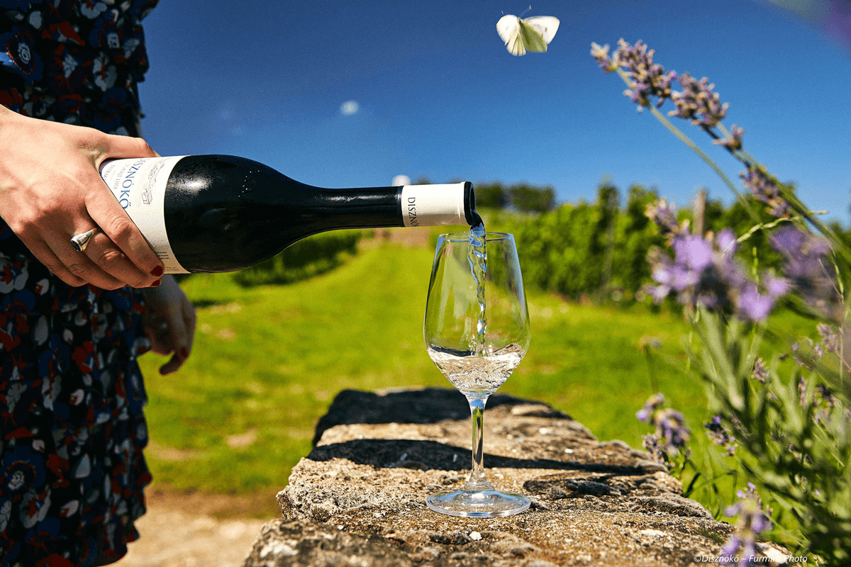 Somms Are Obsessing Over this Racy White Wine from Hungary